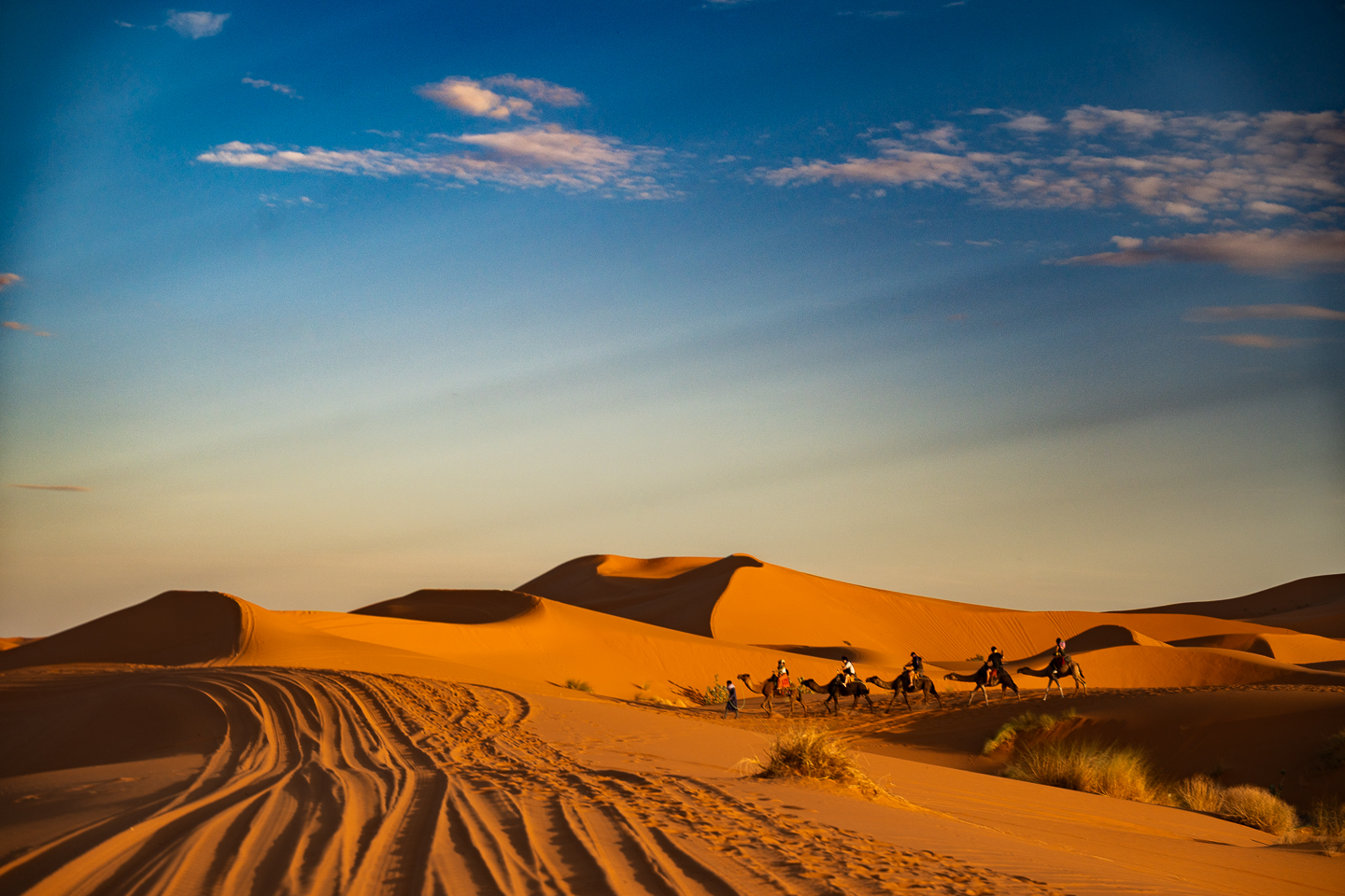 Las dunas son una parte del viaje. Deja espacio para el camino que te lleva hasta allí.