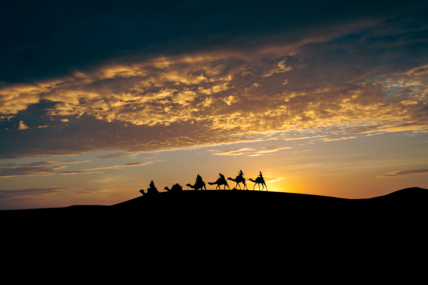 beautiful sunset view of a desert dune with camels crossing it